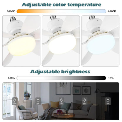 Modern LED Ceiling Fan Light